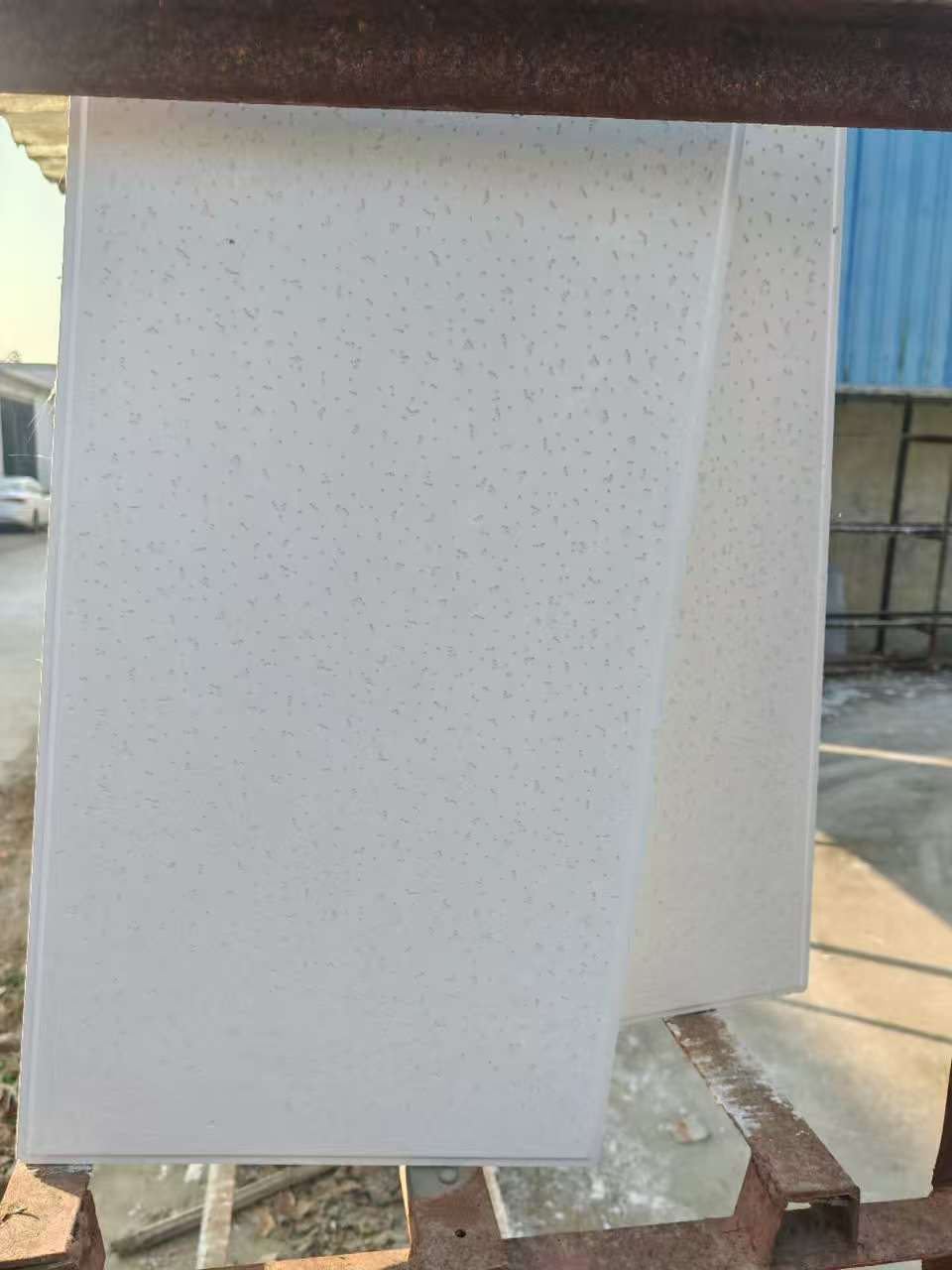 微信图片_20251218194249_1681_69